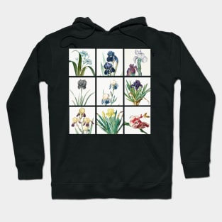 Beautiful collage of watercolor iris flowers from several artists Hoodie